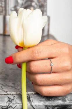 Princesse<Redline Flash Sale